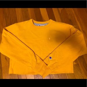 Cropped Champion Crewneck
